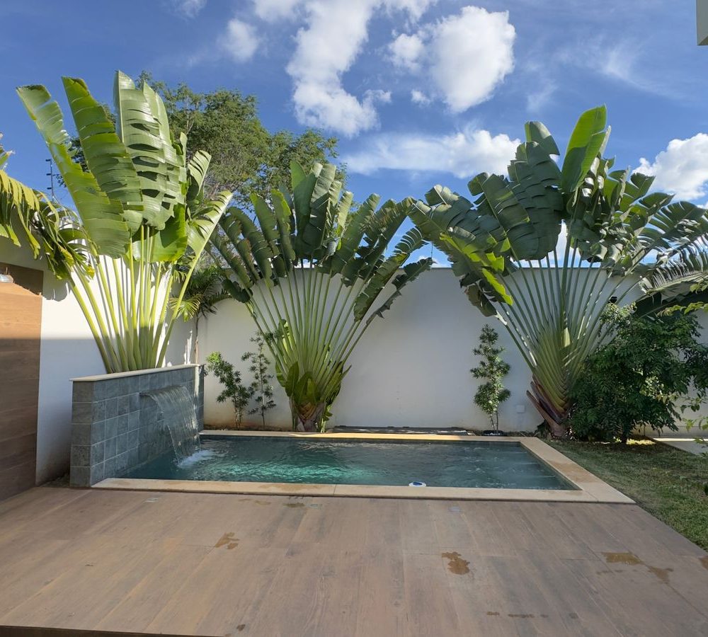 WhatsApp-Image-2026-01-08-at-20.55.08-2